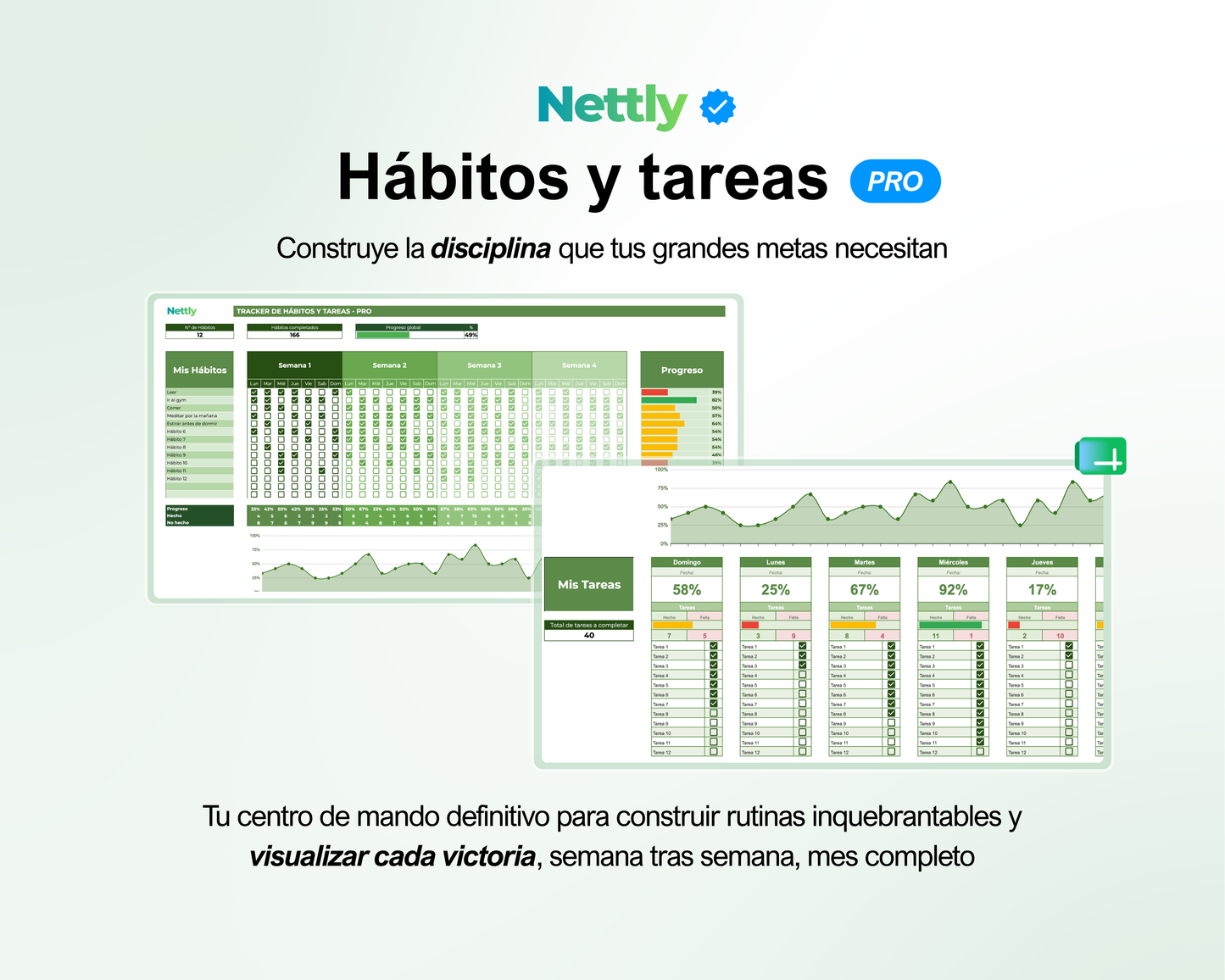 Plantillas de Nettly Progress